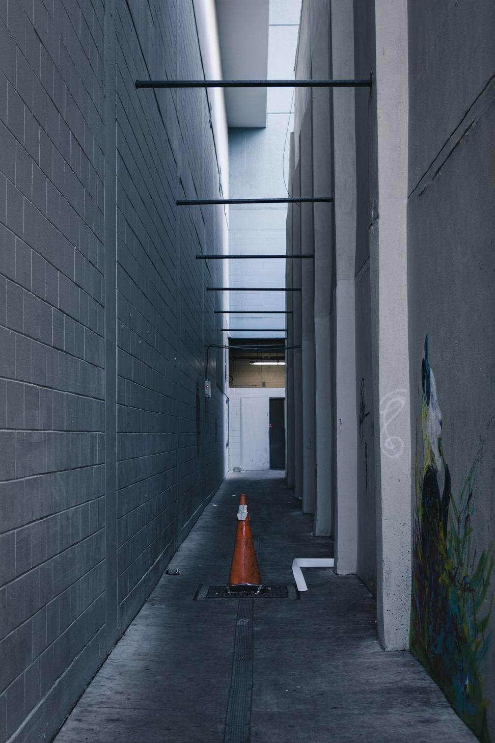 Laneway Living Project
