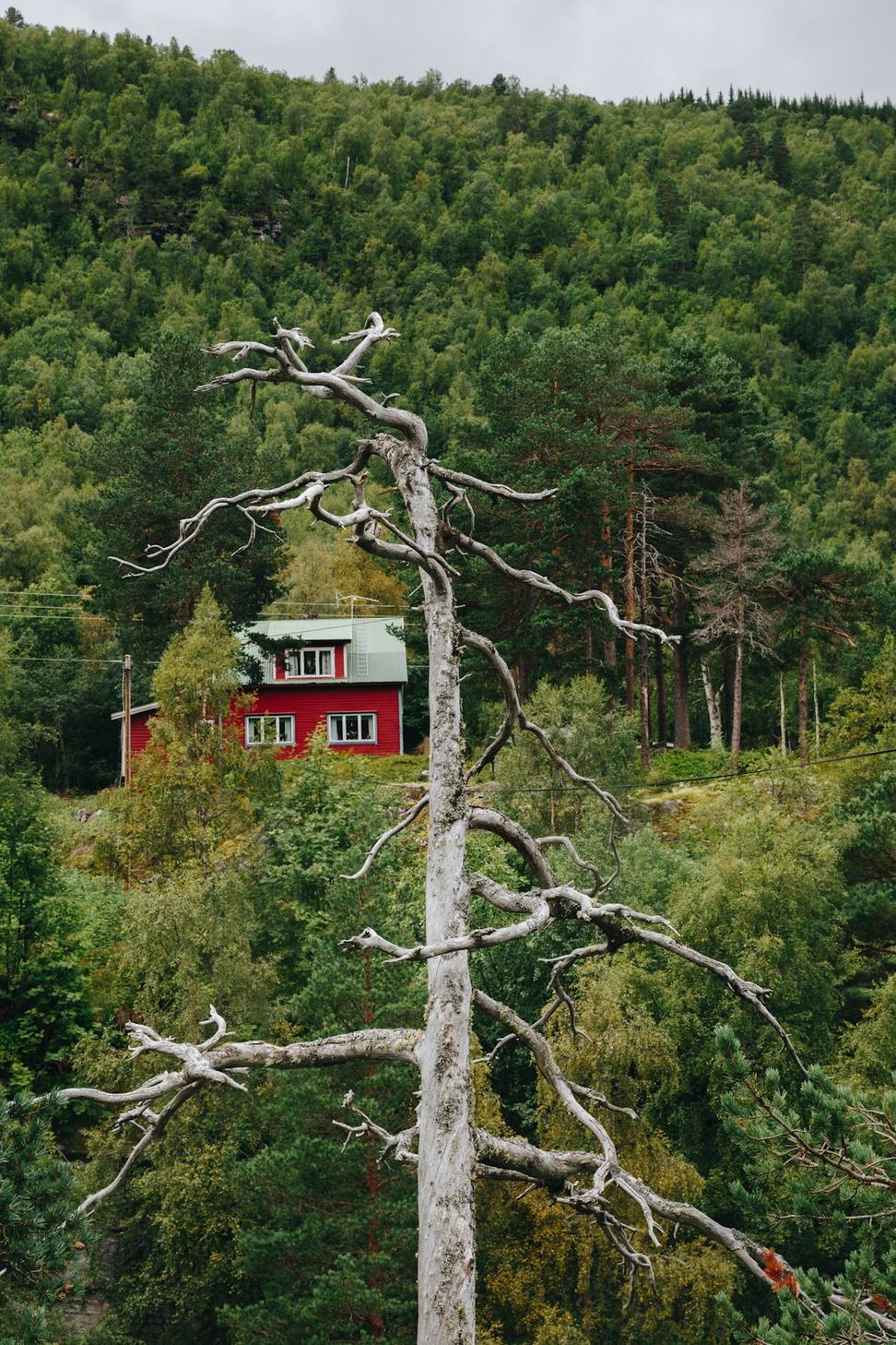 Hillside Haven