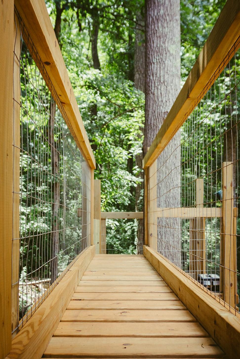 Deck View
