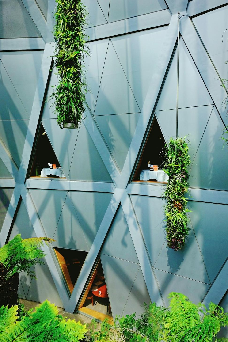 Sustainability expert